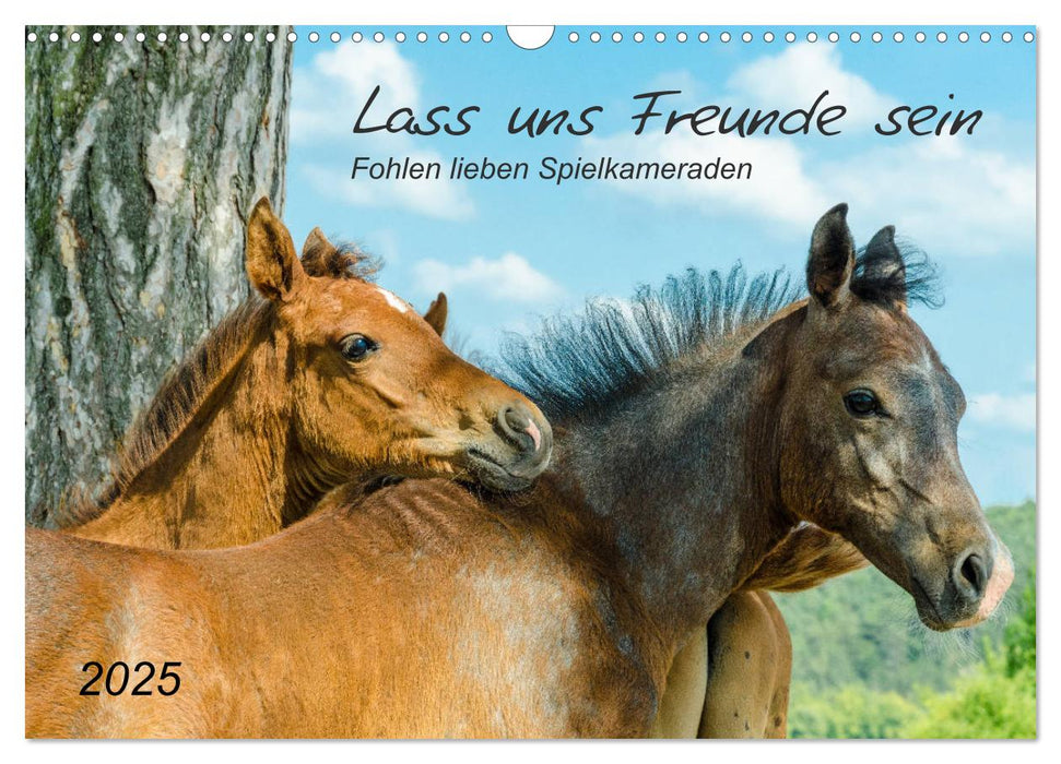 Lass uns Freunde sein (CALVENDO Wandkalender 2025)