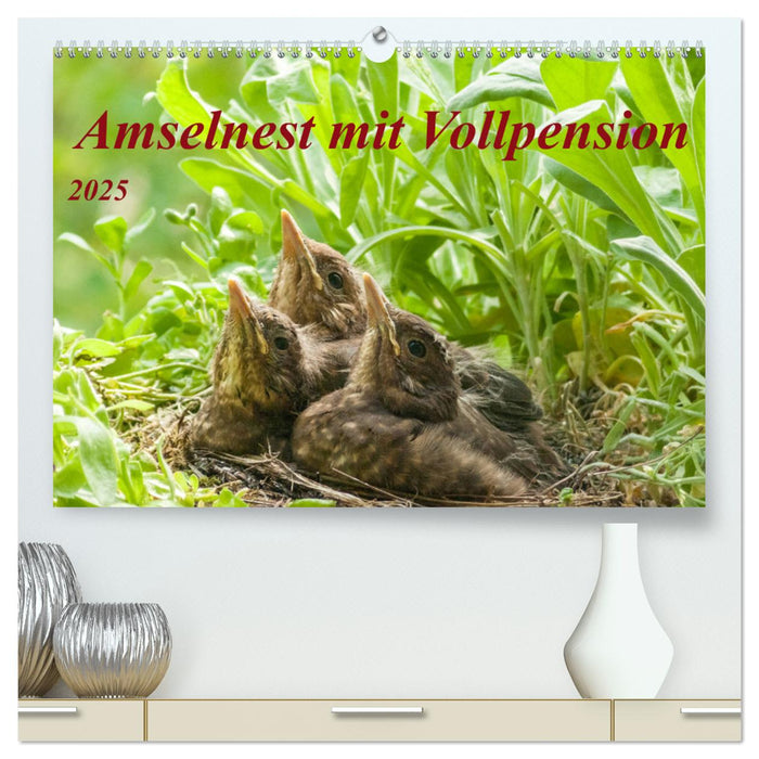 Amselnest mit Vollpension (CALVENDO Premium Wandkalender 2025)