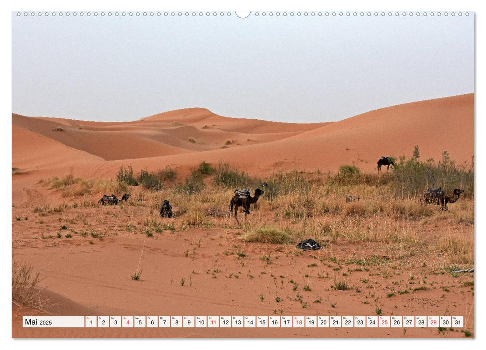 Die SAHARA in Marokko, Faszinierende Wüstenregionen (CALVENDO Premium Wandkalender 2025)