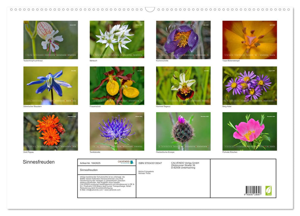 Sinnesfreuden (CALVENDO Wandkalender 2025)