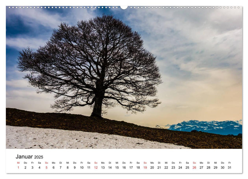 Alpen (Schweiz, Österreich, Italien) (CALVENDO Wandkalender 2025)