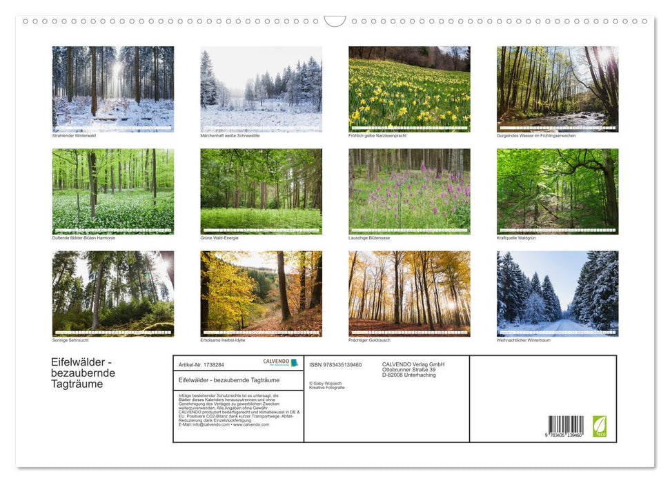 Eifelwälder - bezaubernde Tagträume (CALVENDO Wandkalender 2025)