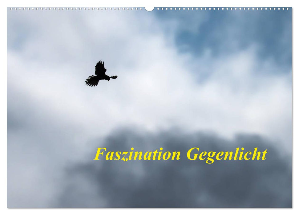 Faszination Gegenlicht (CALVENDO Wandkalender 2025)