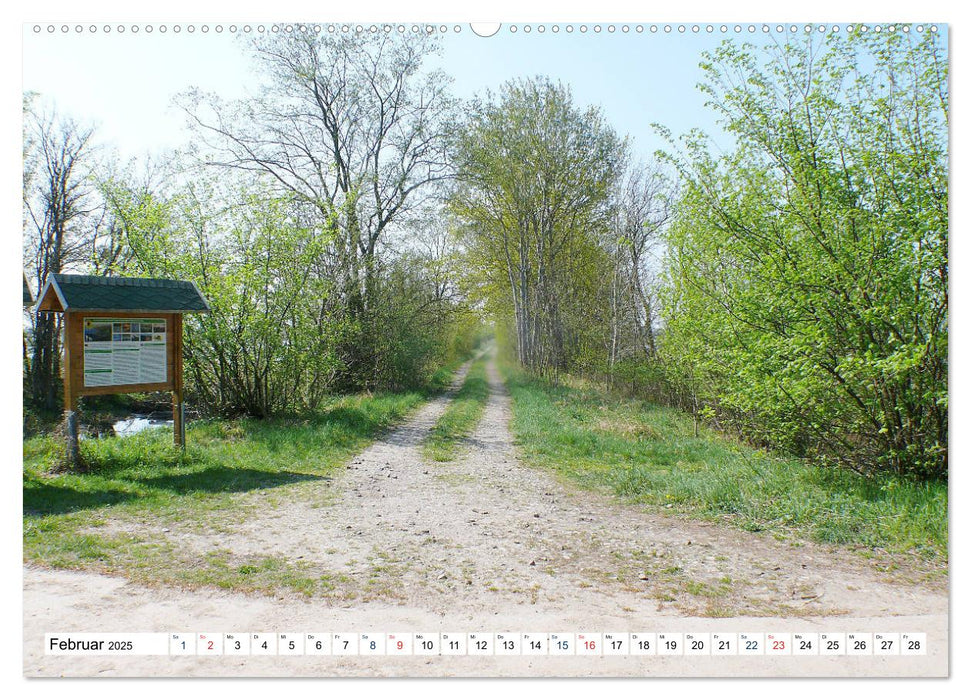 Die Karniner Bahn - Wiederaufbau vor dem Verkehrskollaps? (CALVENDO Premium Wandkalender 2025)