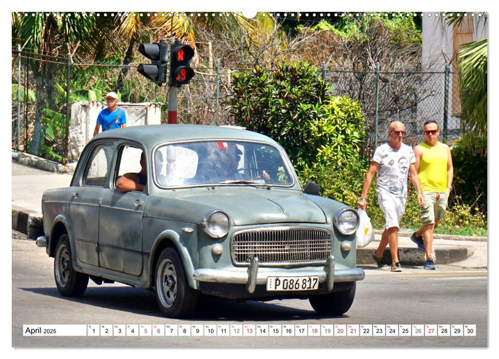 Fiat Nuova 1100 - Ein Klassiker Italiens (CALVENDO Premium Wandkalender 2025)