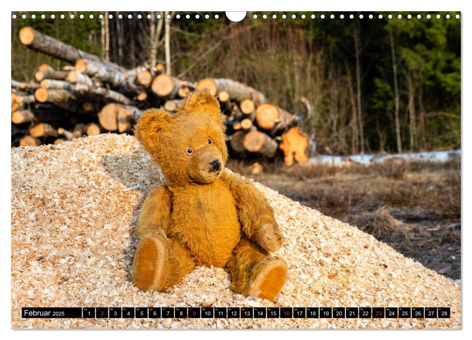 Neue Abenteuer von Teddy Basse (CALVENDO Wandkalender 2025)