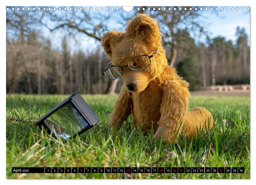 Neue Abenteuer von Teddy Basse (CALVENDO Wandkalender 2025)