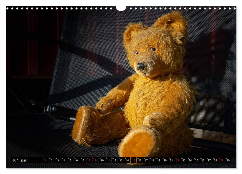 Neue Abenteuer von Teddy Basse (CALVENDO Wandkalender 2025)