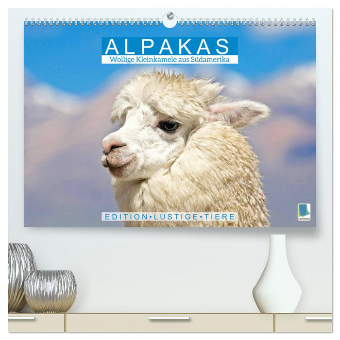 Alpakas: Wollige Kleinkamele aus Südamerika - Edition lustige Tiere (CALVENDO Premium Wandkalender 2025)