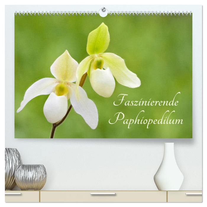 Faszinierende Paphiopedilum (CALVENDO Premium Wandkalender 2025)