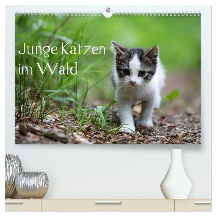 Junge Katzen im Wald (CALVENDO Premium Wandkalender 2025)