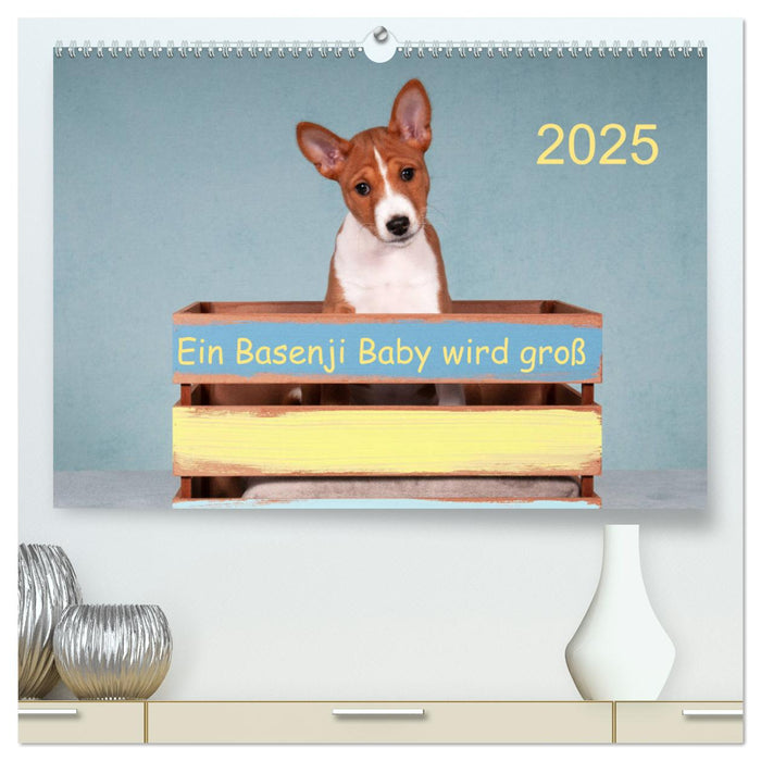 Ein Basenji Baby wird groß (CALVENDO Premium Wandkalender 2025)