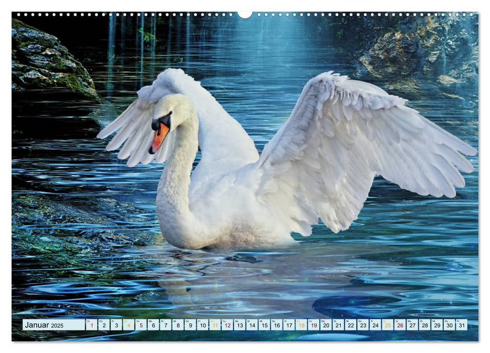 Vögel im Flug - malerische Bilder (CALVENDO Premium Wandkalender 2025)