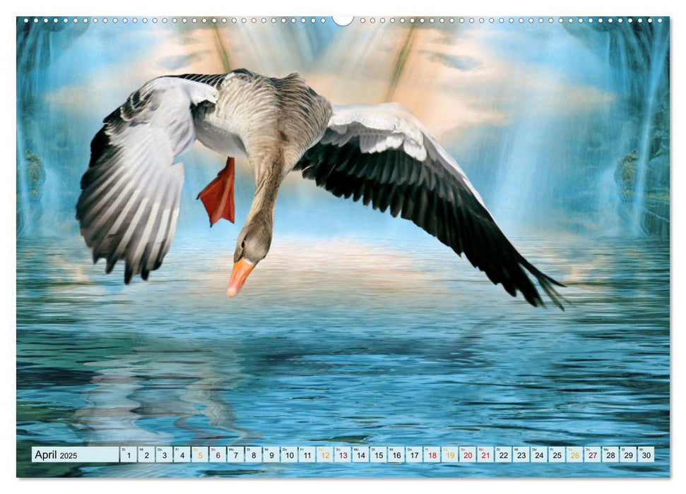 Vögel im Flug - malerische Bilder (CALVENDO Premium Wandkalender 2025)