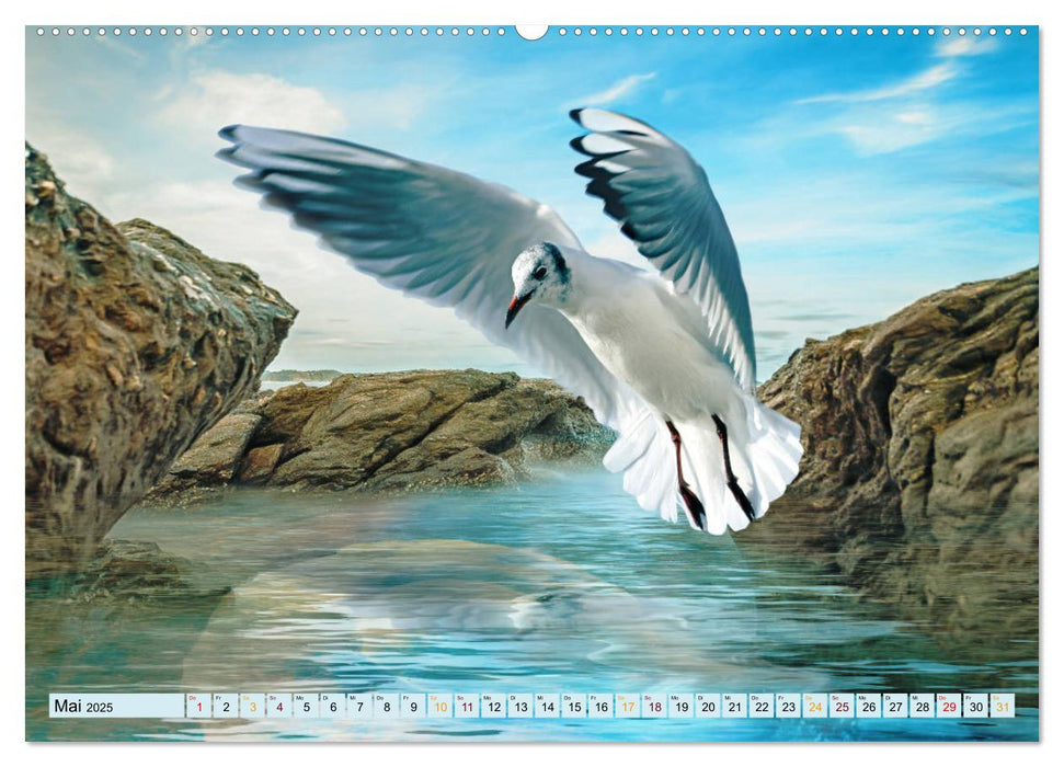 Vögel im Flug - malerische Bilder (CALVENDO Premium Wandkalender 2025)