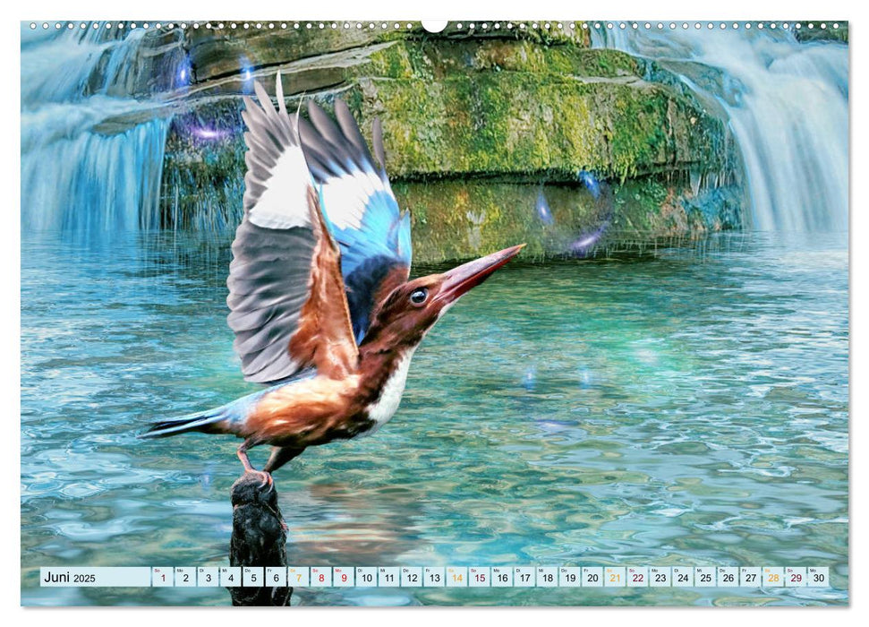 Vögel im Flug - malerische Bilder (CALVENDO Premium Wandkalender 2025)