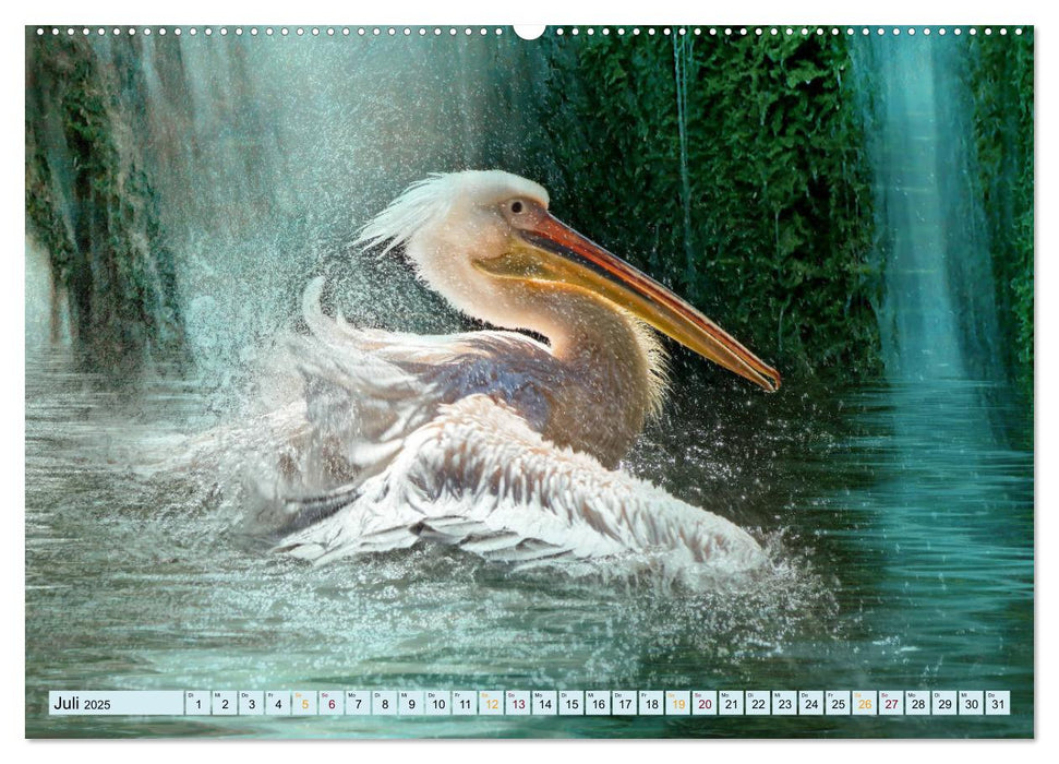 Vögel im Flug - malerische Bilder (CALVENDO Premium Wandkalender 2025)