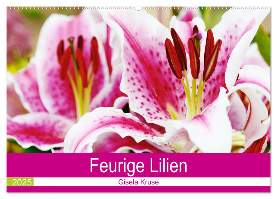 Feurige Lilien (CALVENDO Wandkalender 2025)