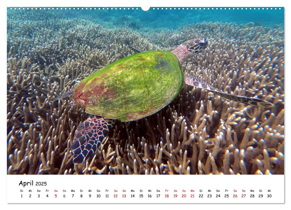 Australien - Im Bann des 5. Kontinents (CALVENDO Premium Wandkalender 2025)