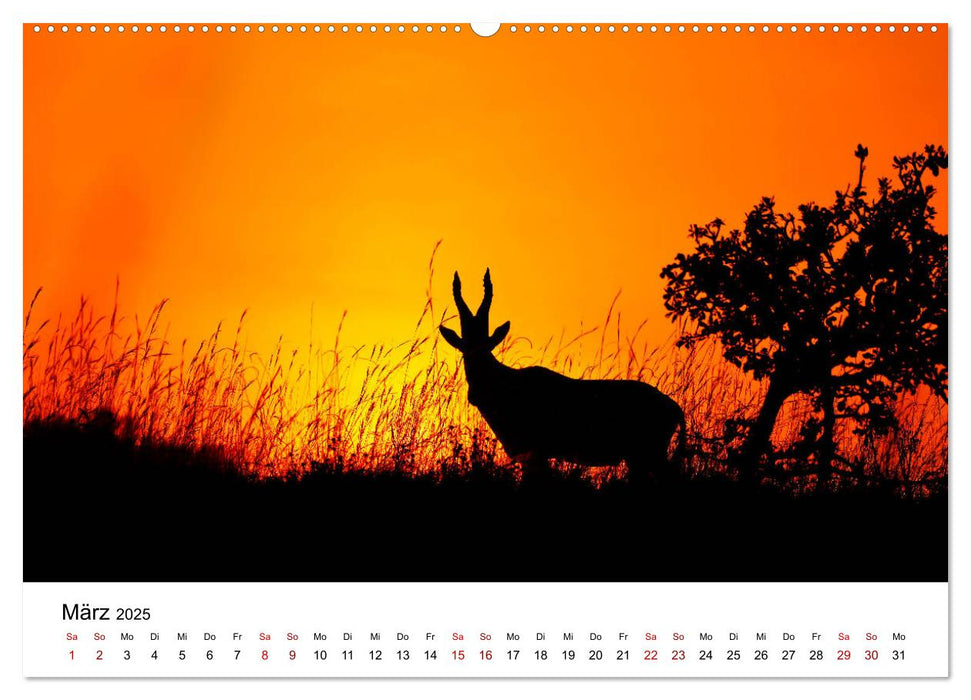 UGANDA - Murchison Falls Nationalpark (CALVENDO Premium Wandkalender 2025)