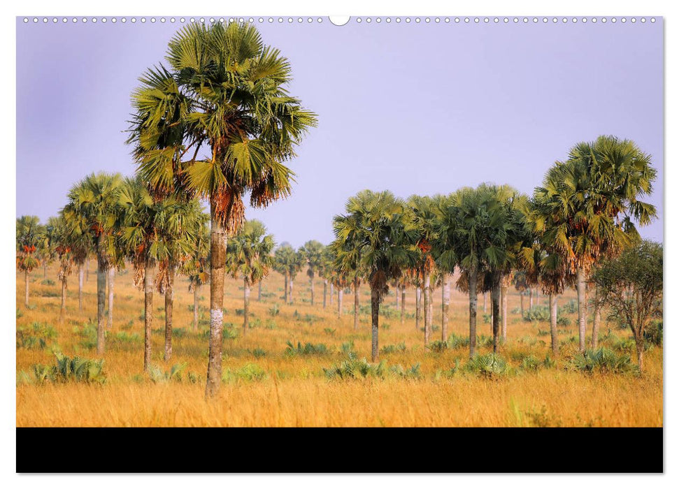 UGANDA - Murchison Falls Nationalpark (CALVENDO Premium Wandkalender 2025)