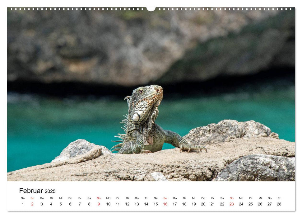 Curacao, die facettenreiche Karibikinsel (CALVENDO Premium Wandkalender 2025)