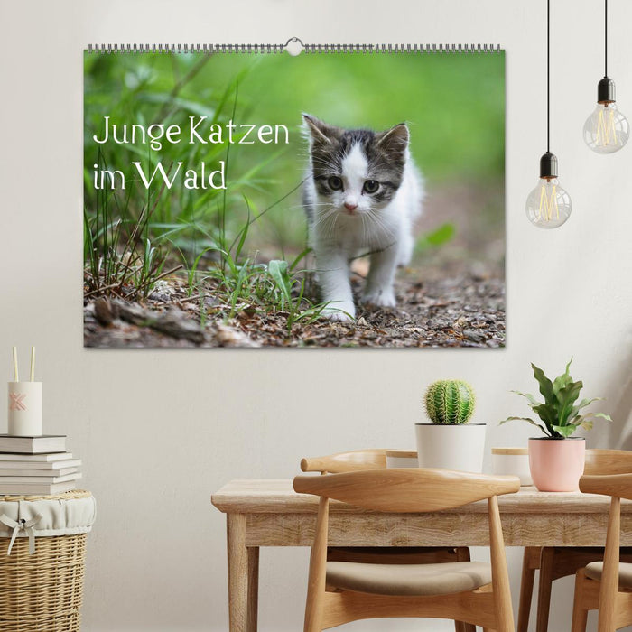 Junge Katzen im Wald (CALVENDO Wandkalender 2025)