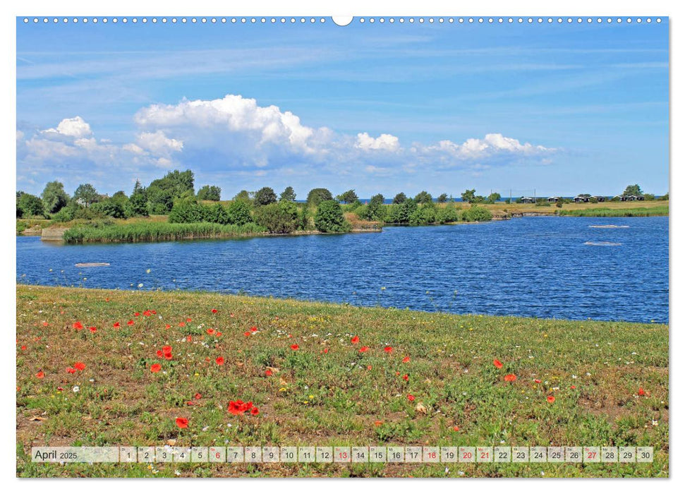 BUNTES ÖLAND (CALVENDO Wandkalender 2025)