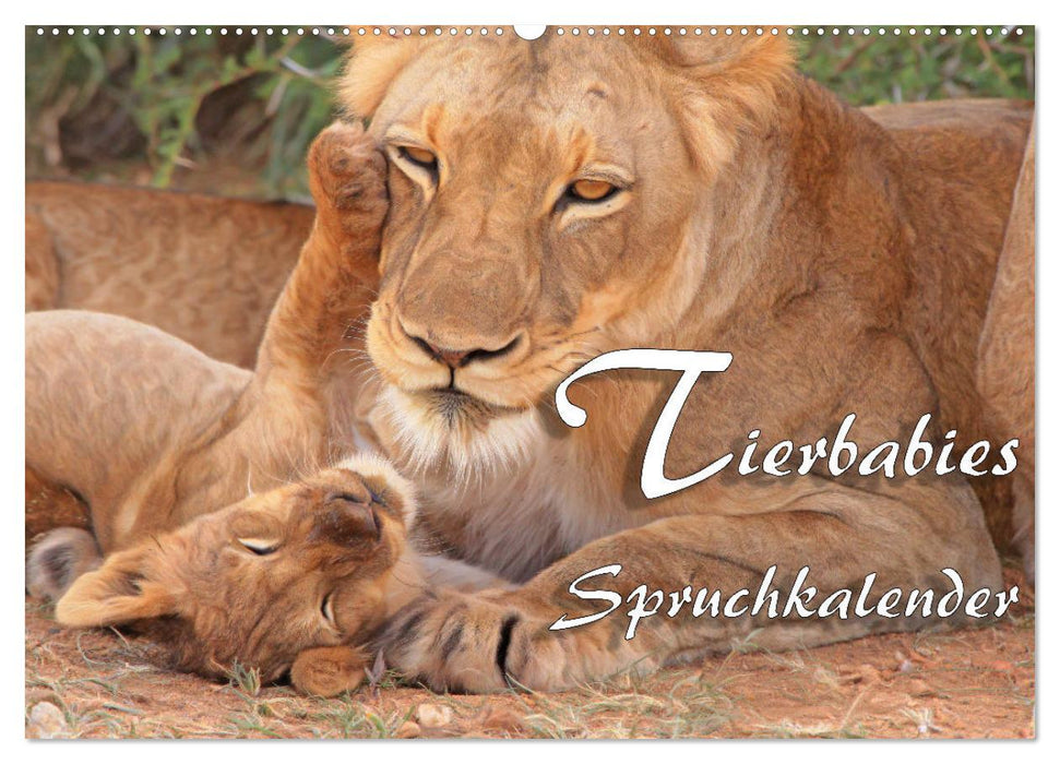 Tierbabies - Spruchkalender (CALVENDO Wandkalender 2025)