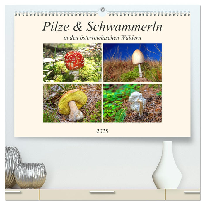 Pilze & Schwammerln (CALVENDO Premium Wandkalender 2025)