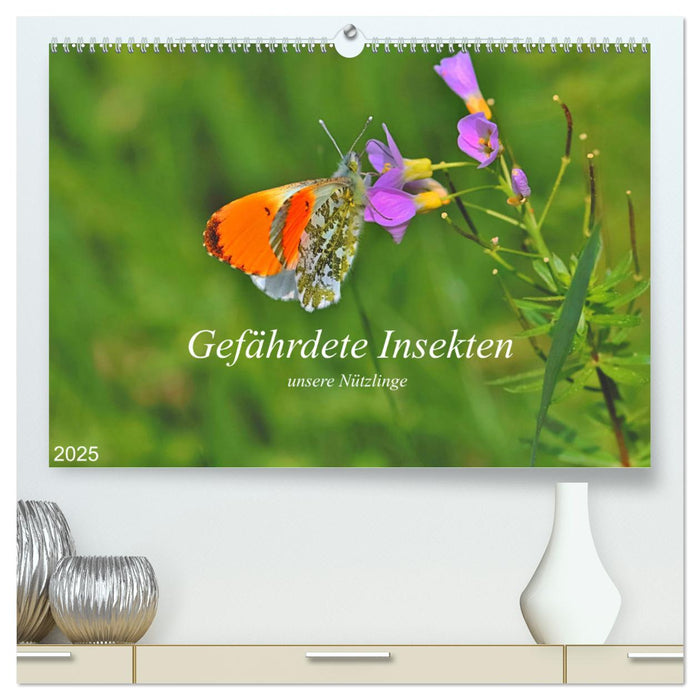 Gefährdete Insekten - unsere Nützlinge (CALVENDO Premium Wandkalender 2025)