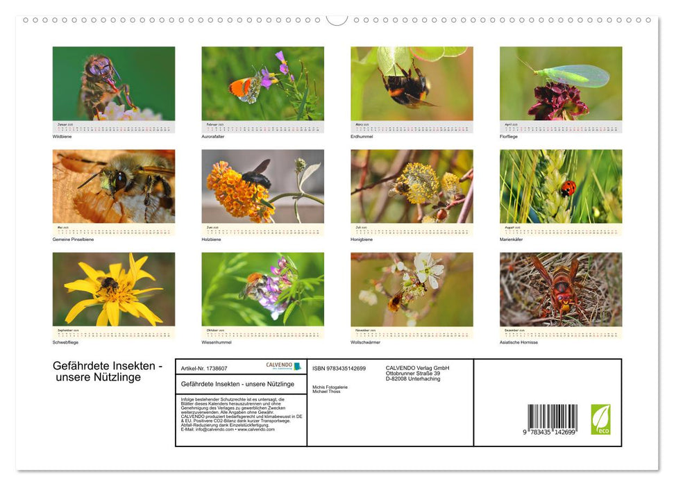 Gefährdete Insekten - unsere Nützlinge (CALVENDO Premium Wandkalender 2025)