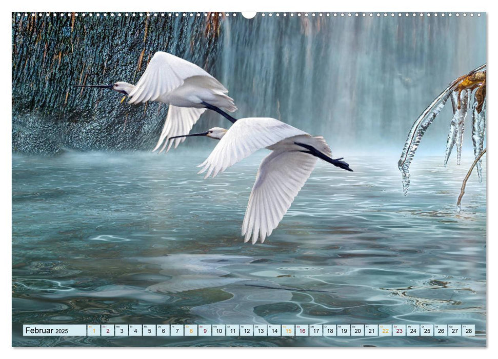 Vögel im Flug - malerische Bilder (CALVENDO Wandkalender 2025)