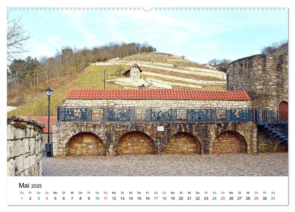 Freyburg an der Unstrut (CALVENDO Premium Wandkalender 2025)