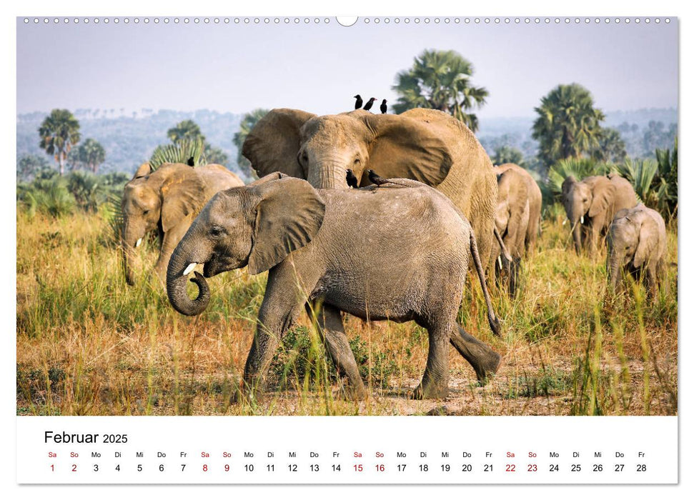 UGANDA - Murchison Falls Nationalpark (CALVENDO Wandkalender 2025)