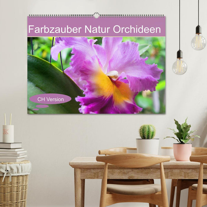 Farbzauber Natur Orchideen - CH Version (CALVENDO Wandkalender 2025)