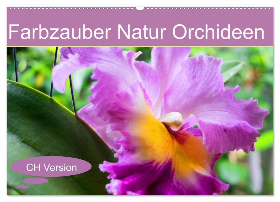 Farbzauber Natur Orchideen - CH Version (CALVENDO Wandkalender 2025)