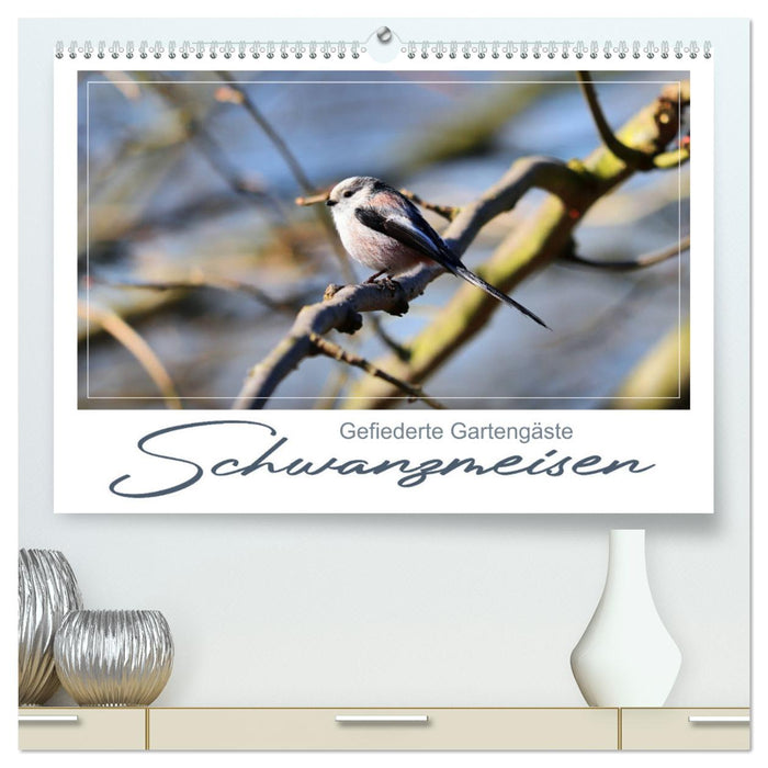 Gefiederte Gartengäste, Schwanzmeisen (CALVENDO Premium Wandkalender 2025)