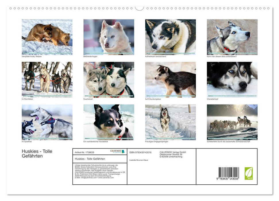 Huskies - Tolle Gefährten (CALVENDO Premium Wandkalender 2025)