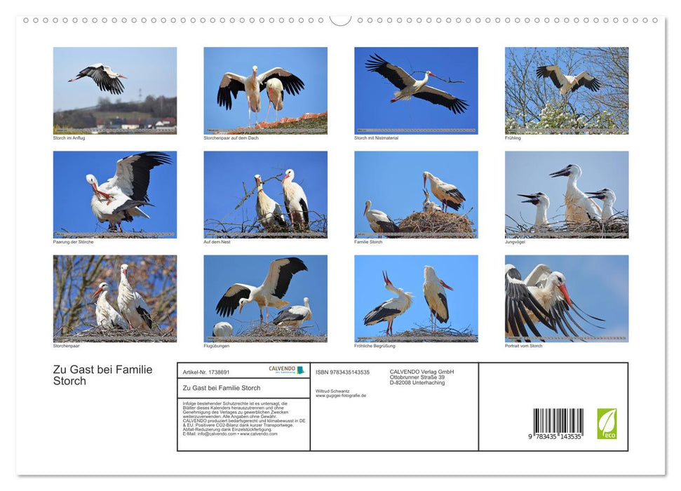 Zu Gast bei Familie Storch (CALVENDO Premium Wandkalender 2025)