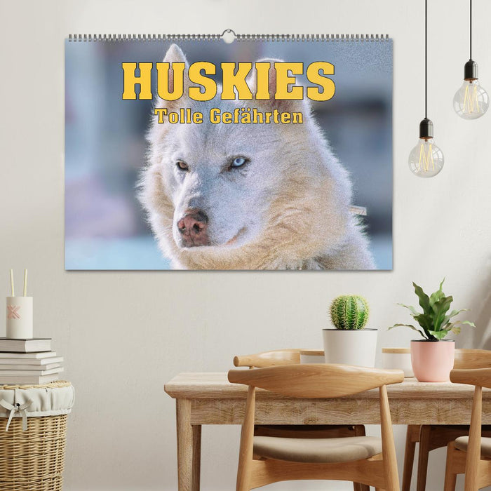 Huskies - Tolle Gefährten (CALVENDO Wandkalender 2025)