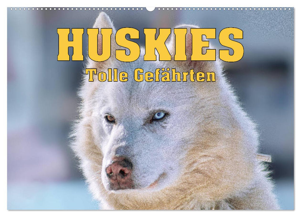 Huskies - Tolle Gefährten (CALVENDO Wandkalender 2025)