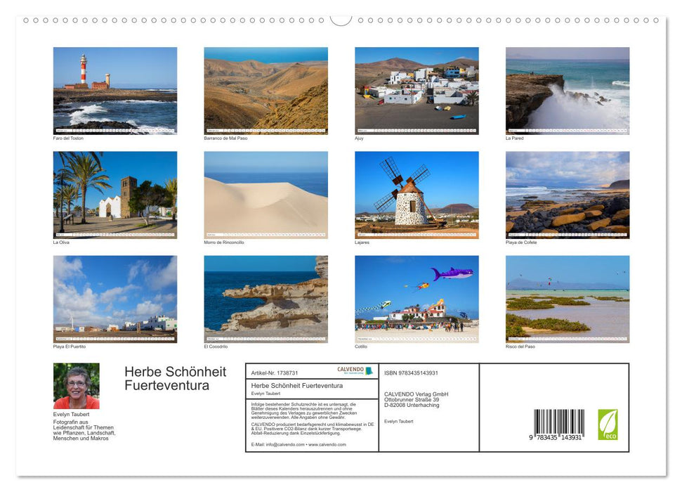 Herbe Schönheit Fuerteventura (CALVENDO Premium Wandkalender 2025)