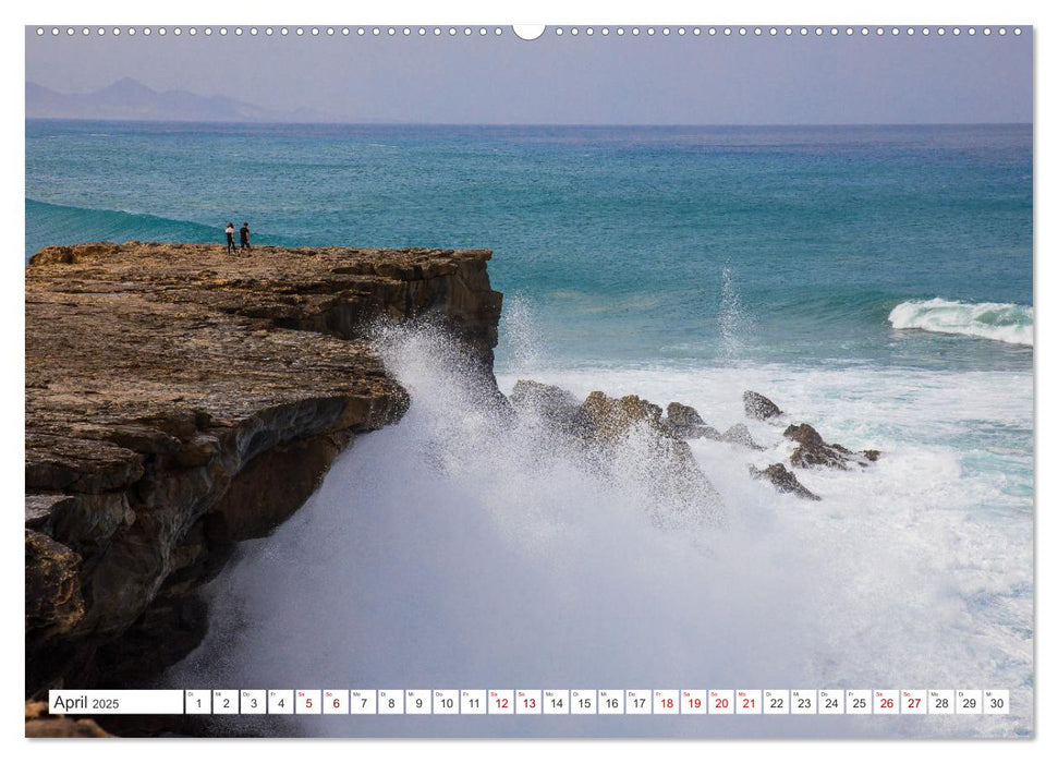 Herbe Schönheit Fuerteventura (CALVENDO Premium Wandkalender 2025)