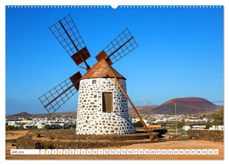 Herbe Schönheit Fuerteventura (CALVENDO Premium Wandkalender 2025)