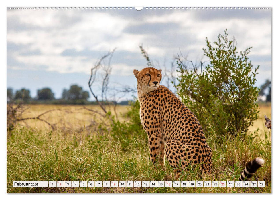 Wildnis Okavango-Delta (CALVENDO Premium Wandkalender 2025)