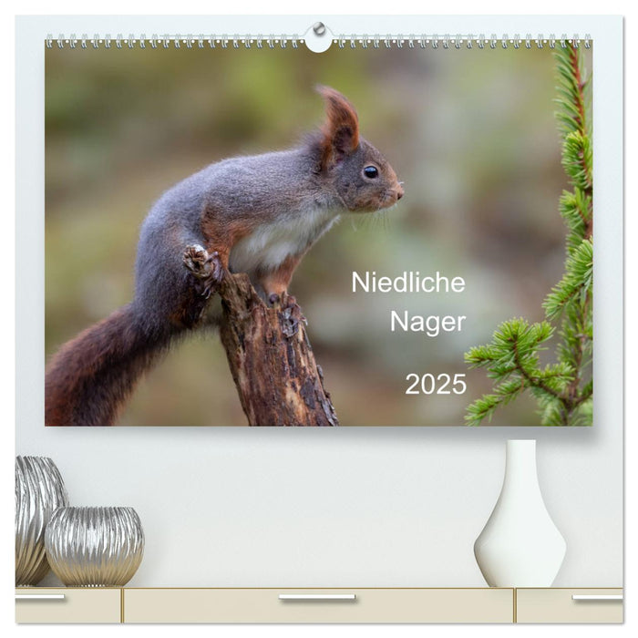 Niedliche Nager (CALVENDO Premium Wandkalender 2025)