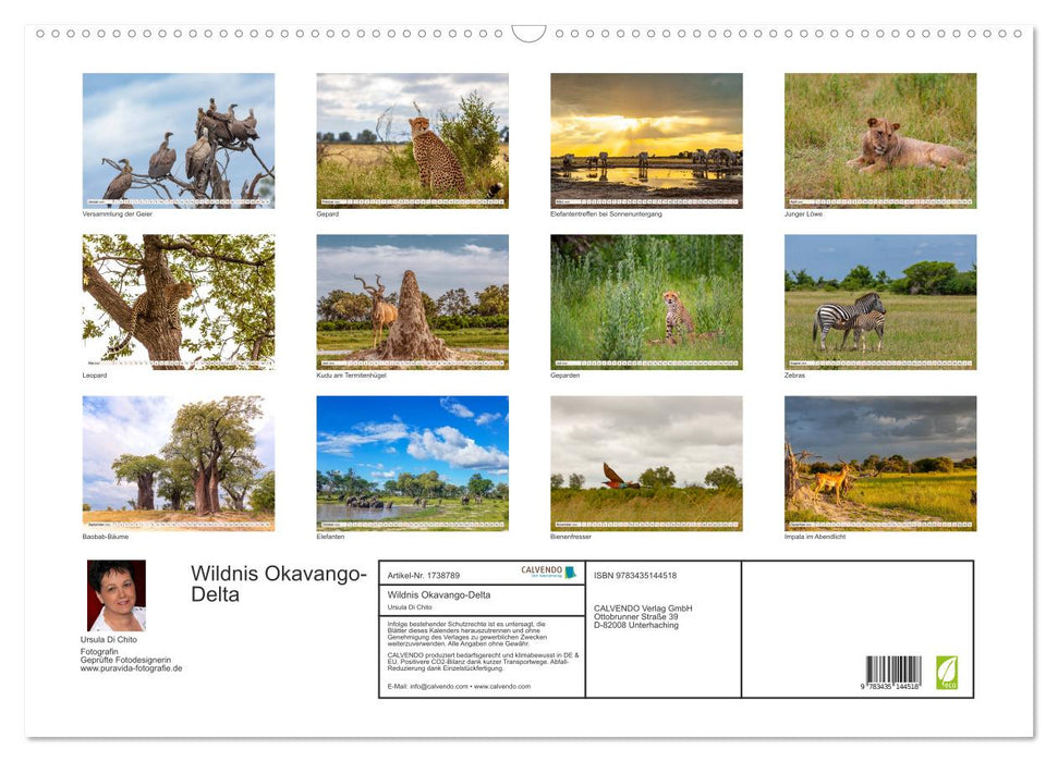 Wildnis Okavango-Delta (CALVENDO Wandkalender 2025)