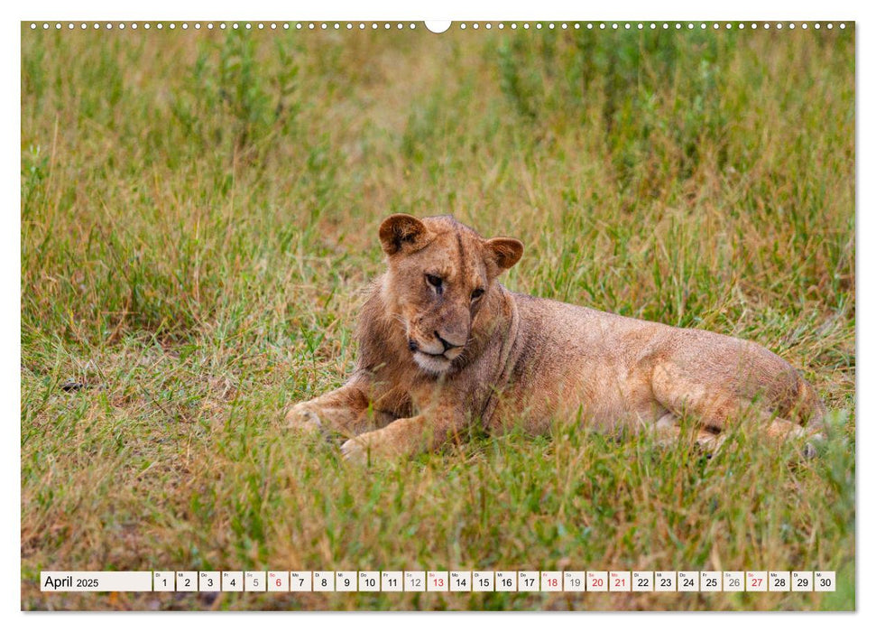 Wildnis Okavango-Delta (CALVENDO Wandkalender 2025)