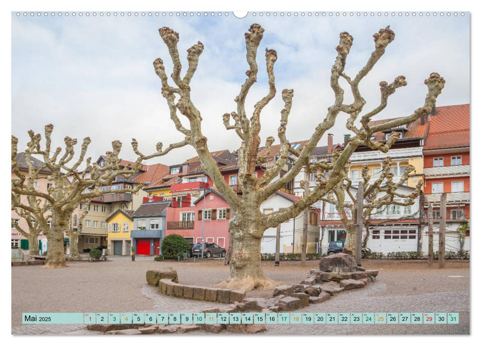 Waldshut - Lebhaftes Städtle am Hochrhein (CALVENDO Premium Wandkalender 2025)